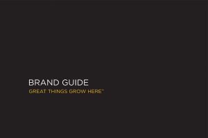 brand-guide